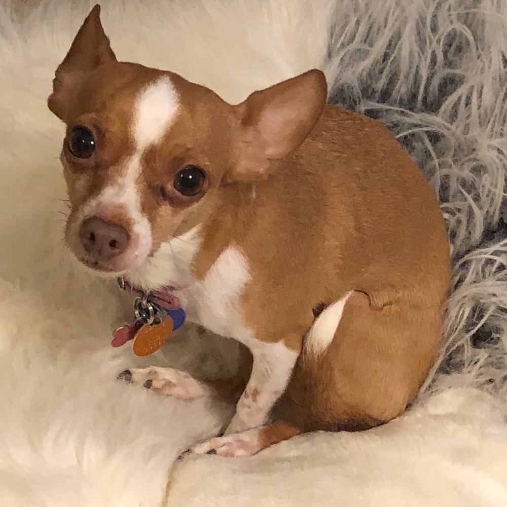 Meet your Posher, Marie